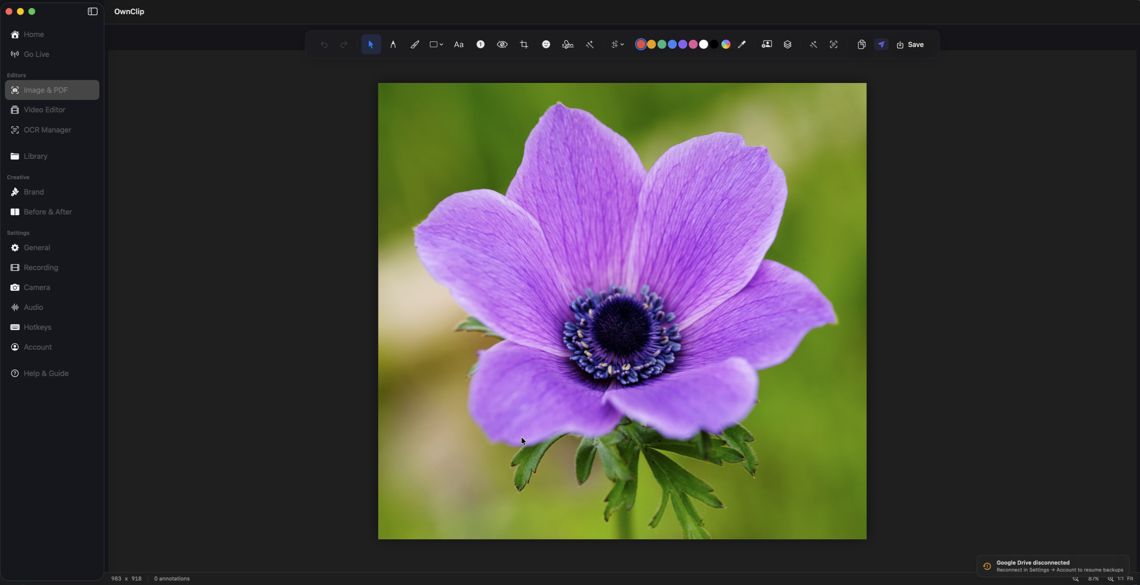 OwnClip gallery image