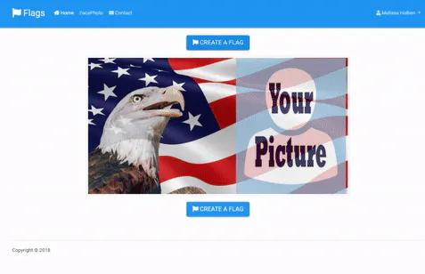 Flags gallery image