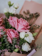 Delphinium Dreams gallery image