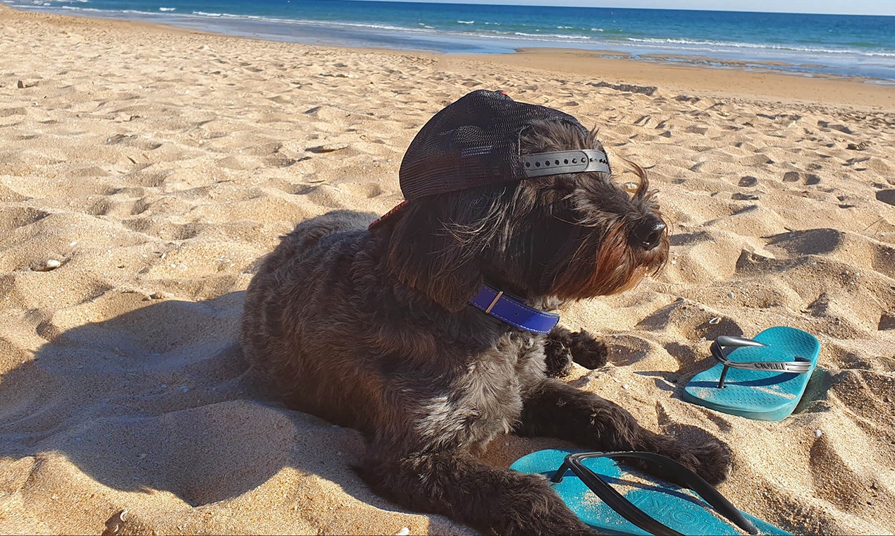 CIOKKI gallery image