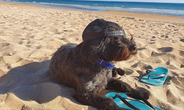 CIOKKI gallery image