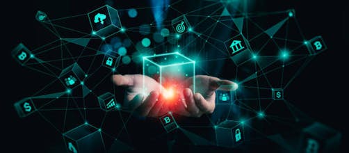 OpenetworK gallery image