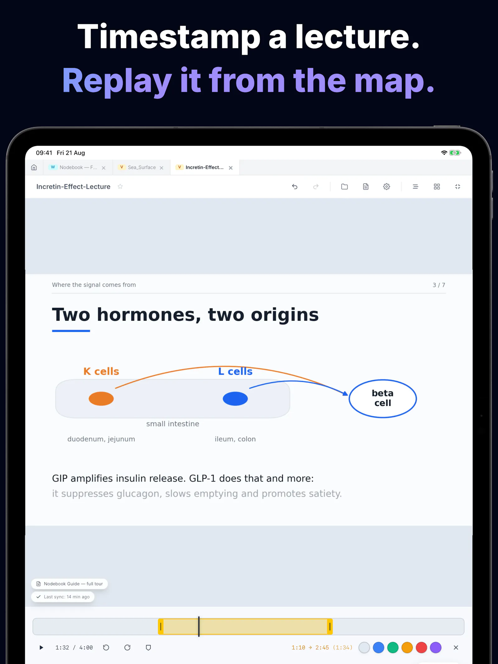 Nodebook screenshot 8
