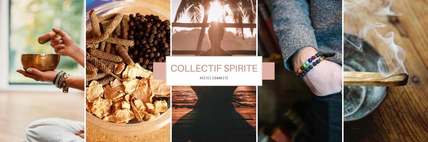 Monia Ben Bedir cover