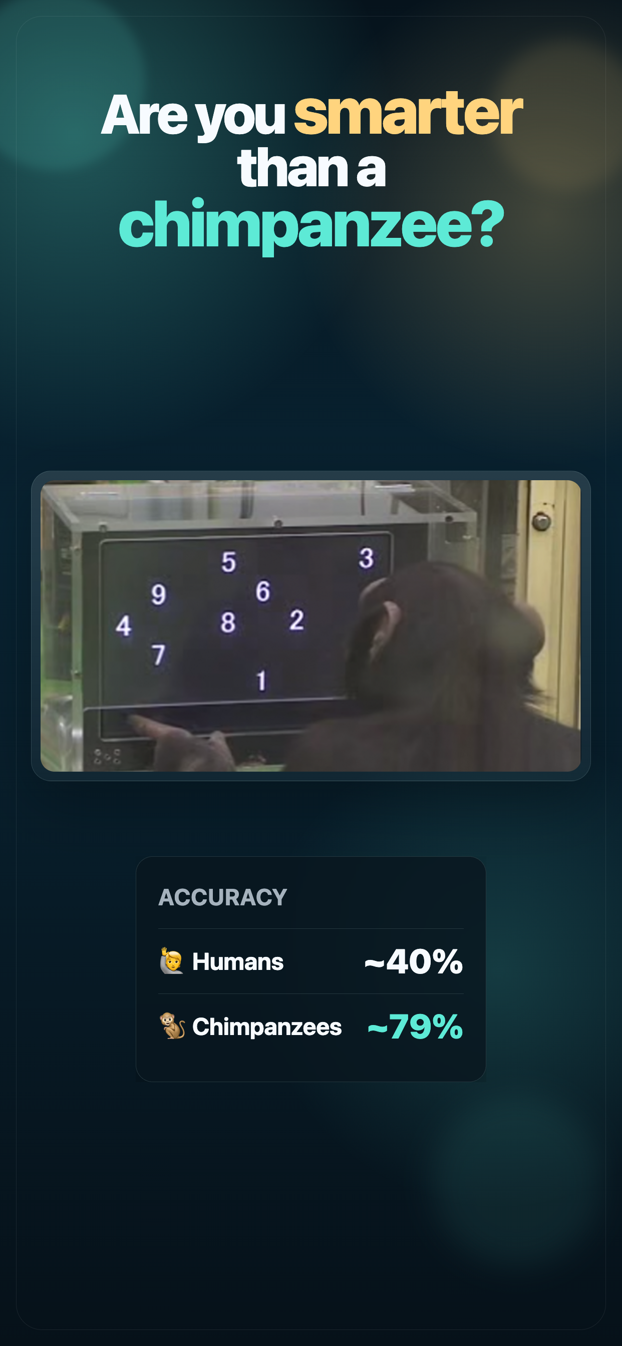 Memory Flash gallery image