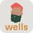 Wells
