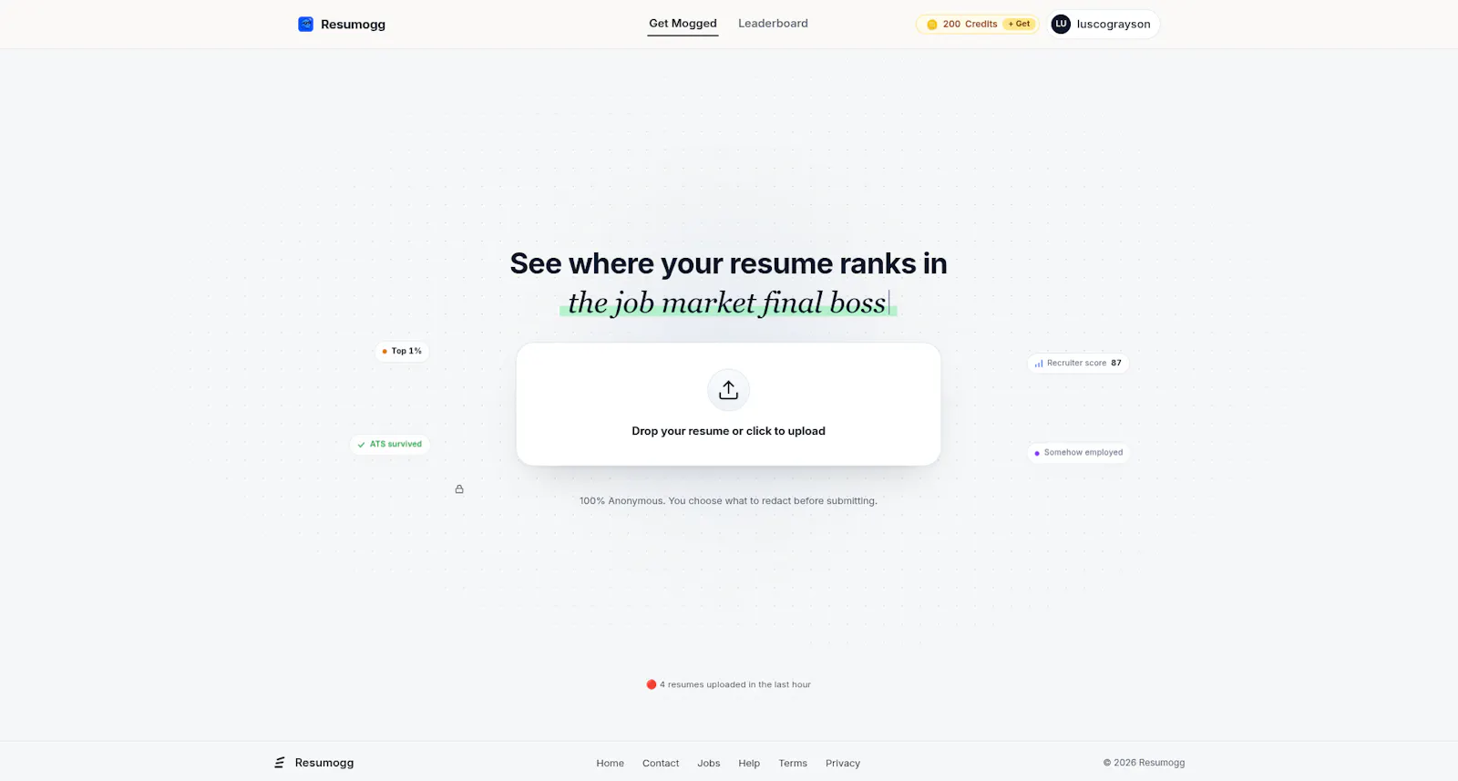 Resumogg.com screenshot 1