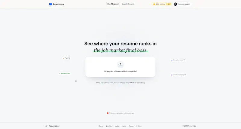 Resumogg.com screenshot 1