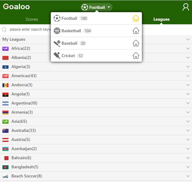 Football Live Score Portal gallery image