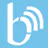 Borsa Earnings Calls