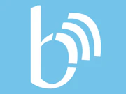 Borsa Earnings Calls