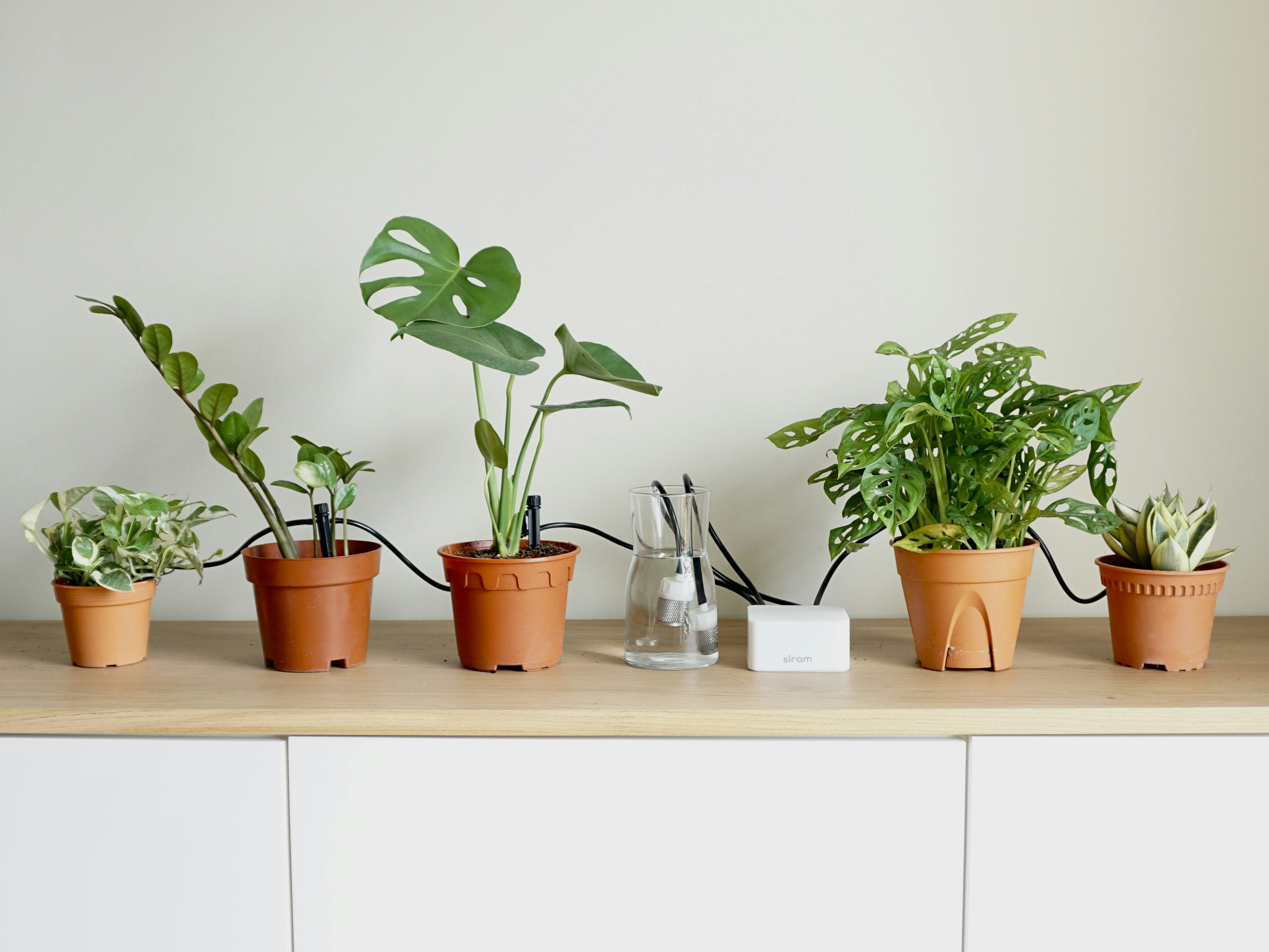 startuptile Siram-Automate Watering Your Houseplant