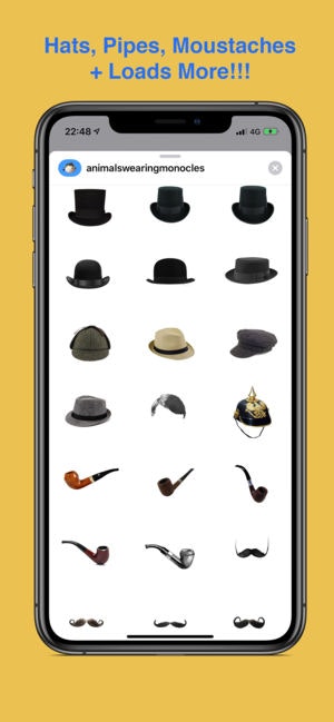 Animals Wearing Monocles gallery image