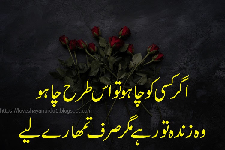 Breakup Poetry In Urdu gallery image