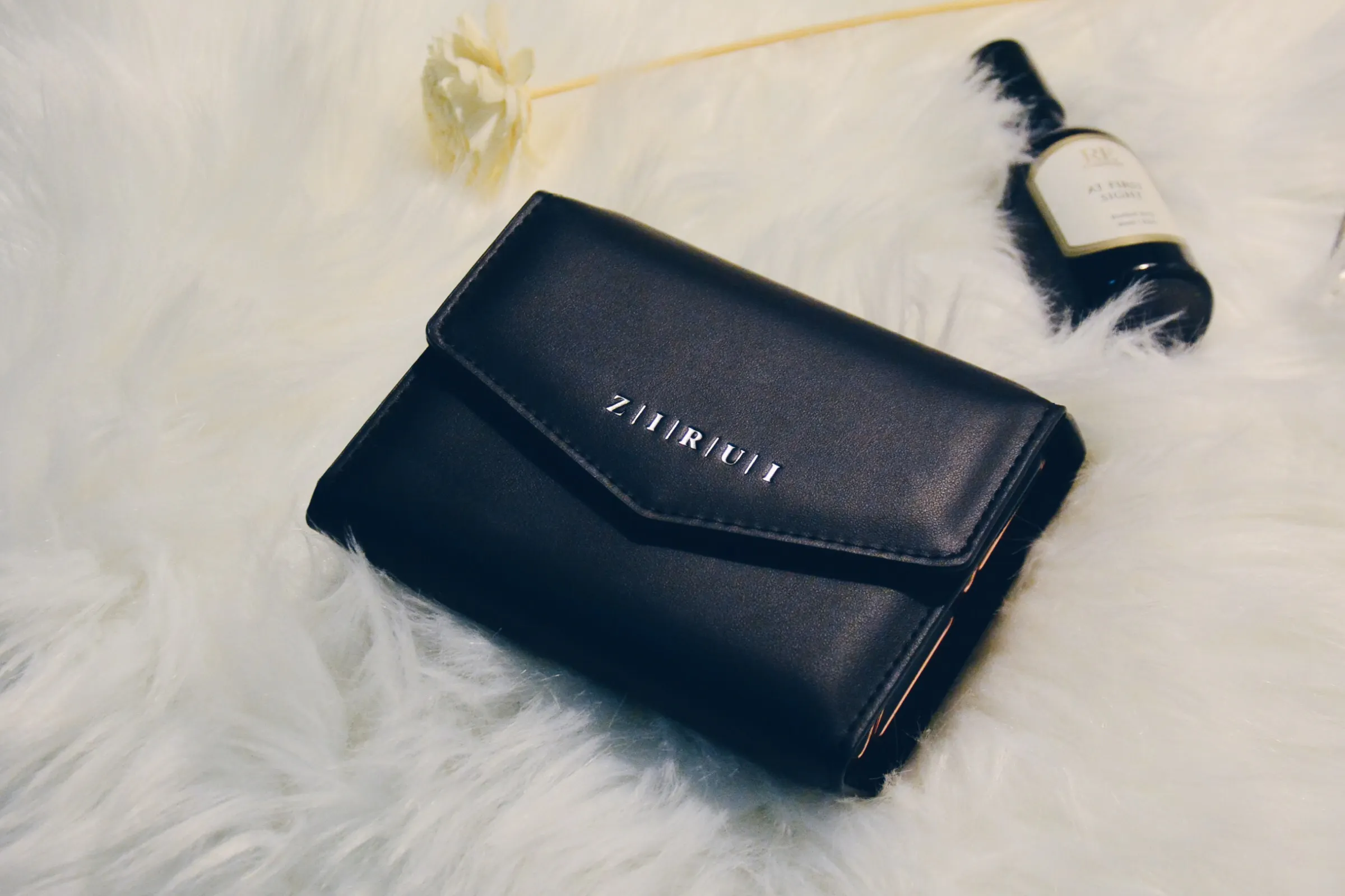 ZIRUI GO Case