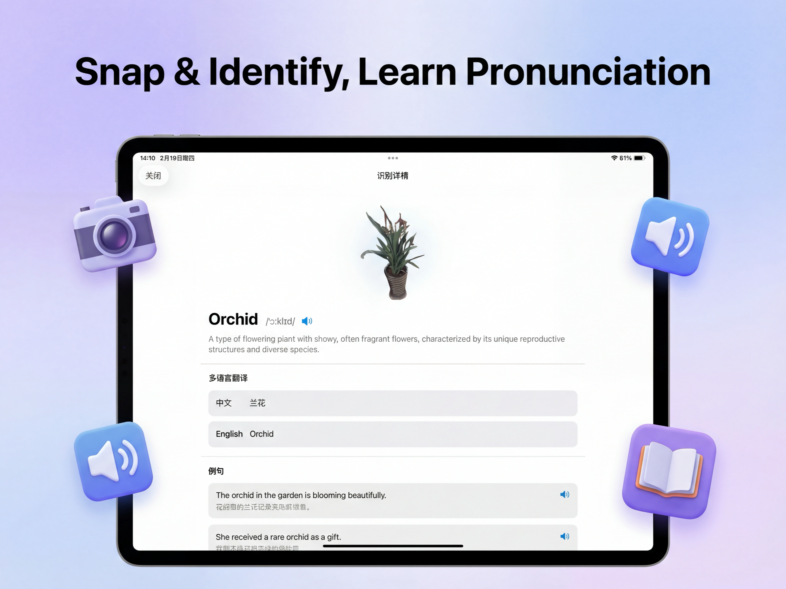 CaiQi Talk gallery image