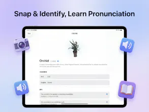 CaiQi Talk gallery image