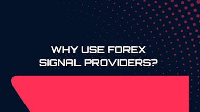 best signal provider for Forex gallery image