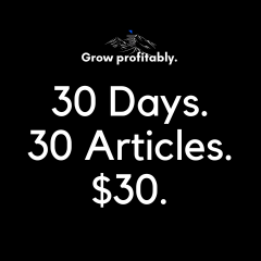 30天。30篇文章。$ 30。