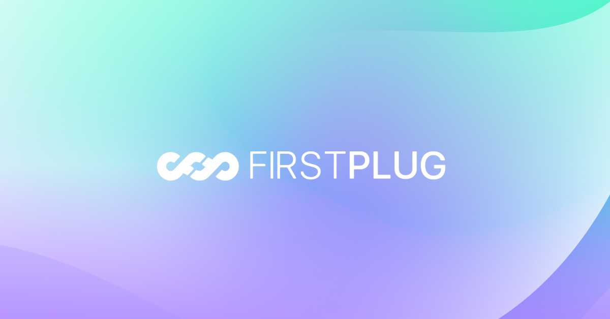 First Plug gallery image
