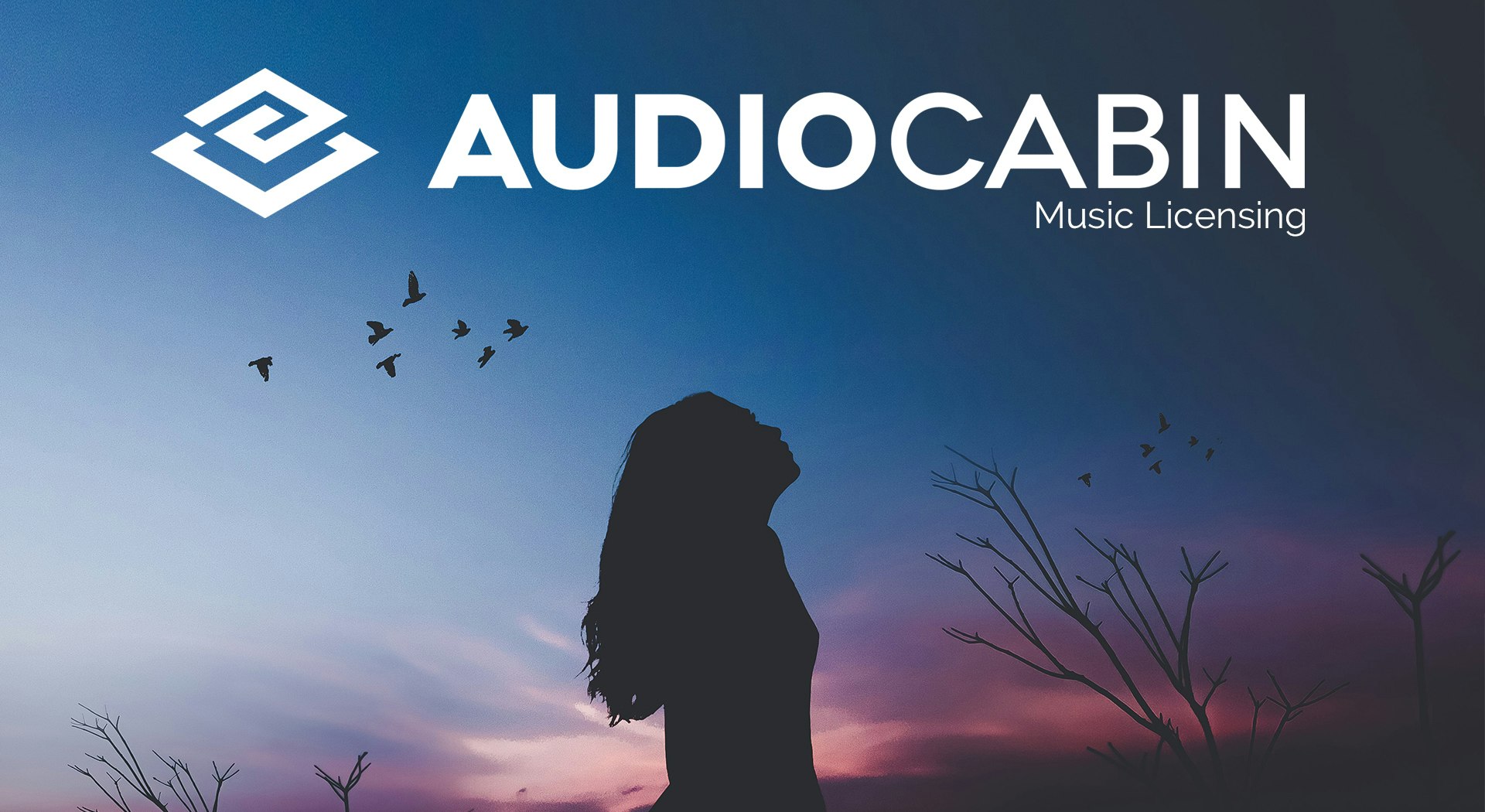 Audio Cabin gallery image