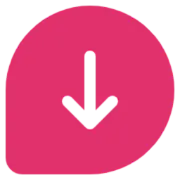 ReelsDown - Instagram Video Downloader