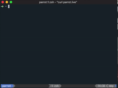 parrot.live Image