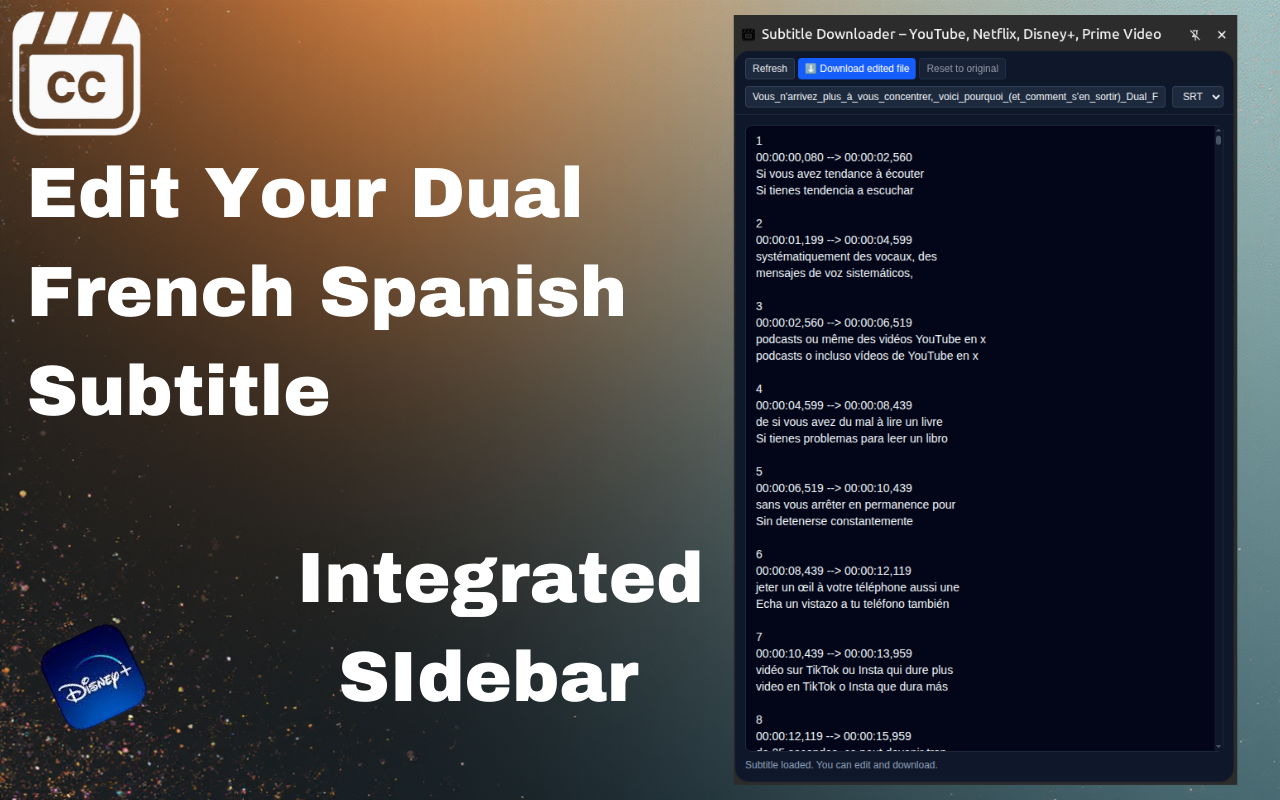 Subtitle Downloader for Netflix, YouTube gallery image