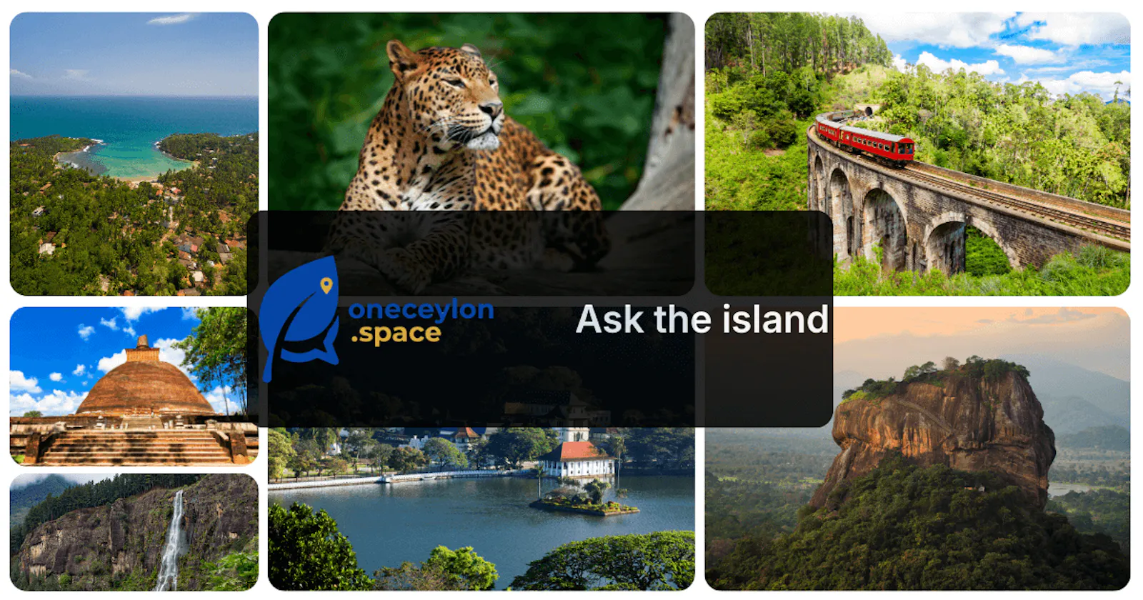 OneCeylon screenshot 1
