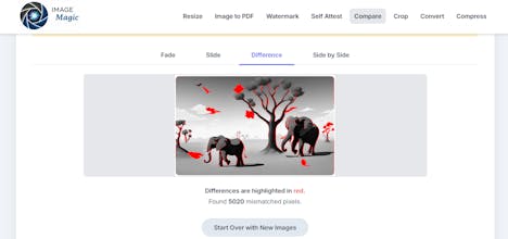 Image Magic gallery image