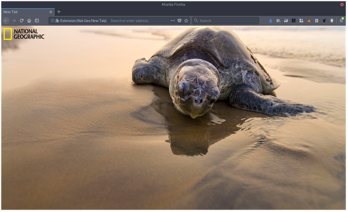 NatGeo NewTab Image