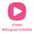 Immersive Translate Bilingual Video