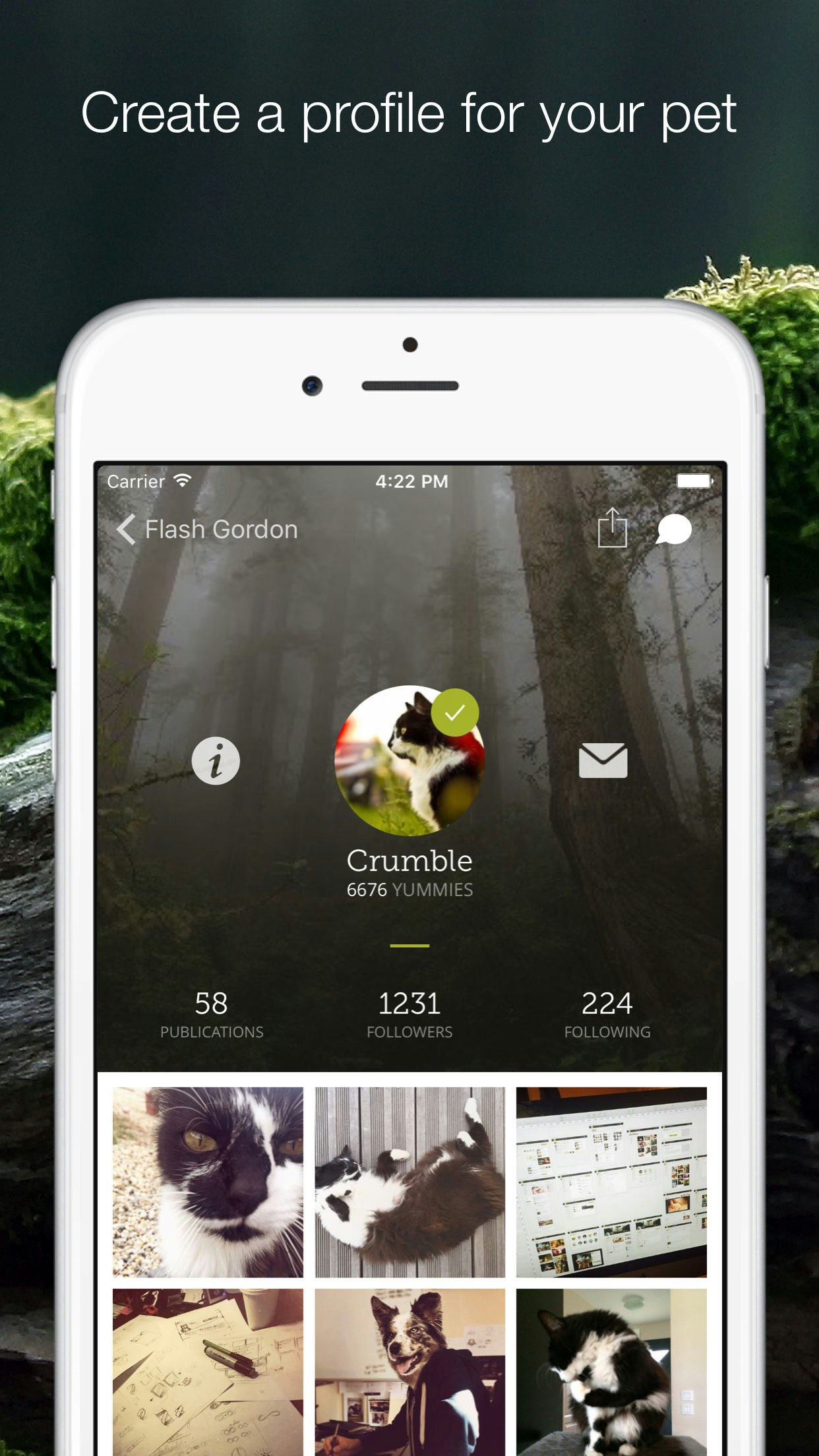 Yummypets gallery image