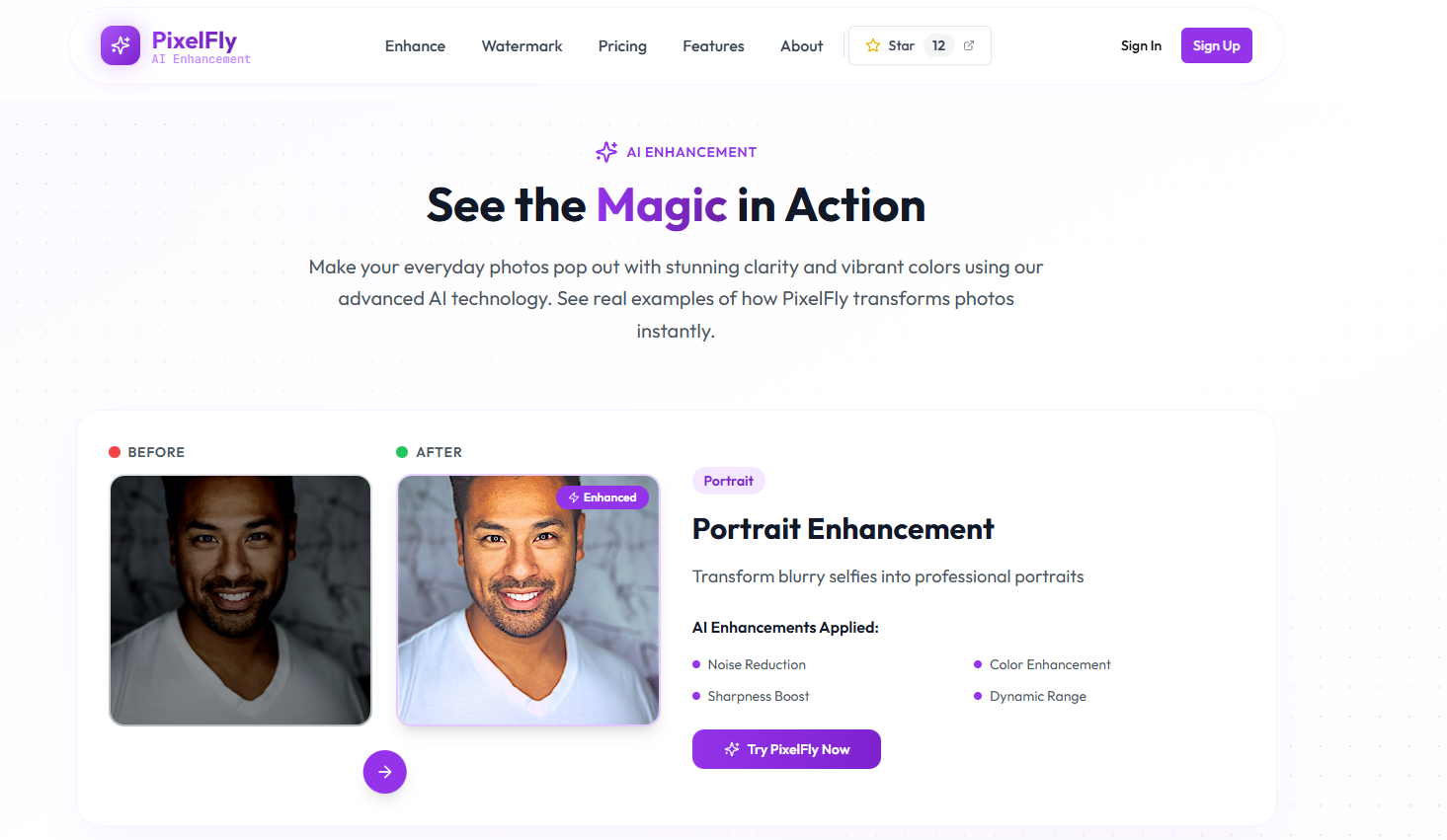 PixelFly - Screenshot 2 showing product features and functionality