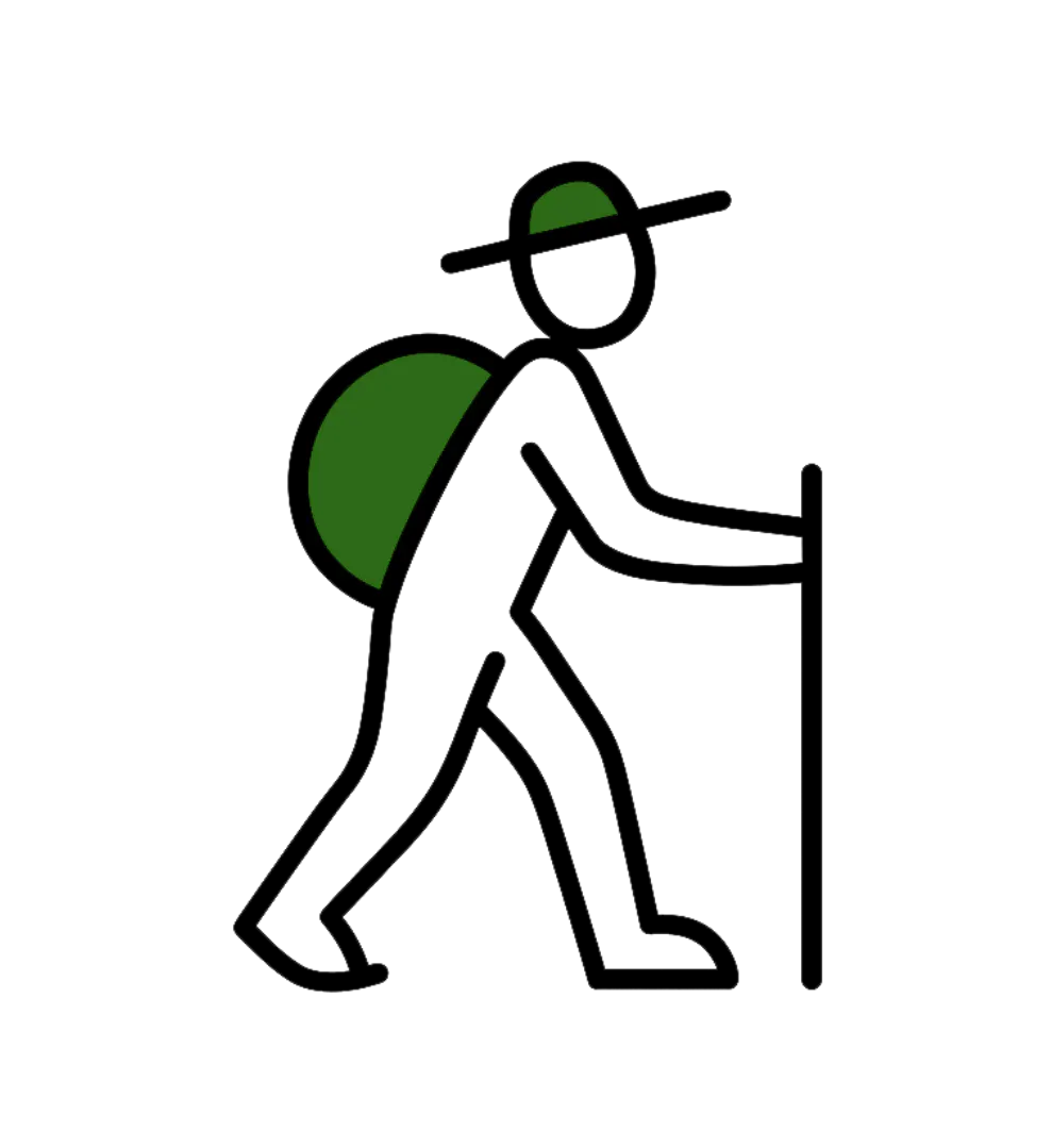 NomadoAI logo