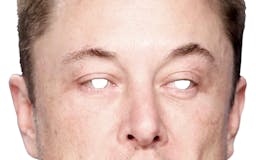 Elon Mask media 1