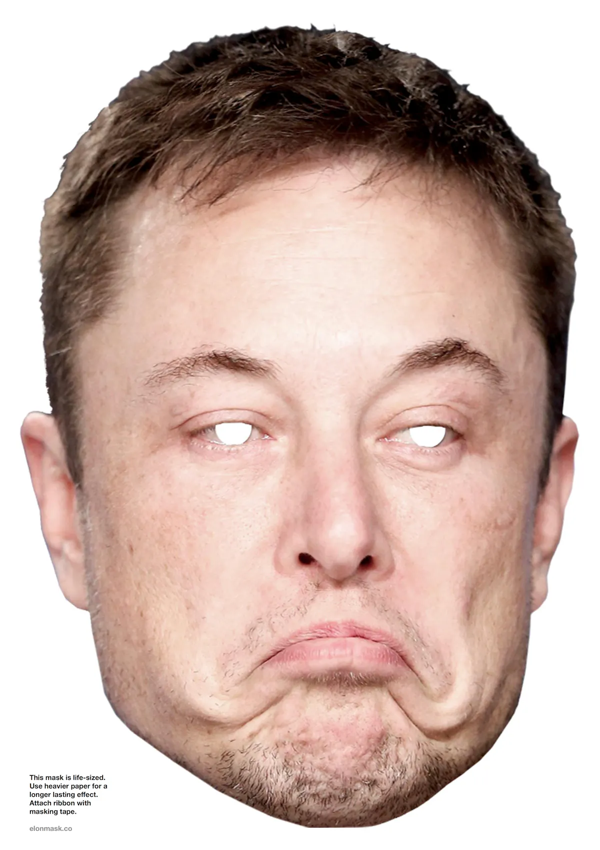 Elon Mask Image
