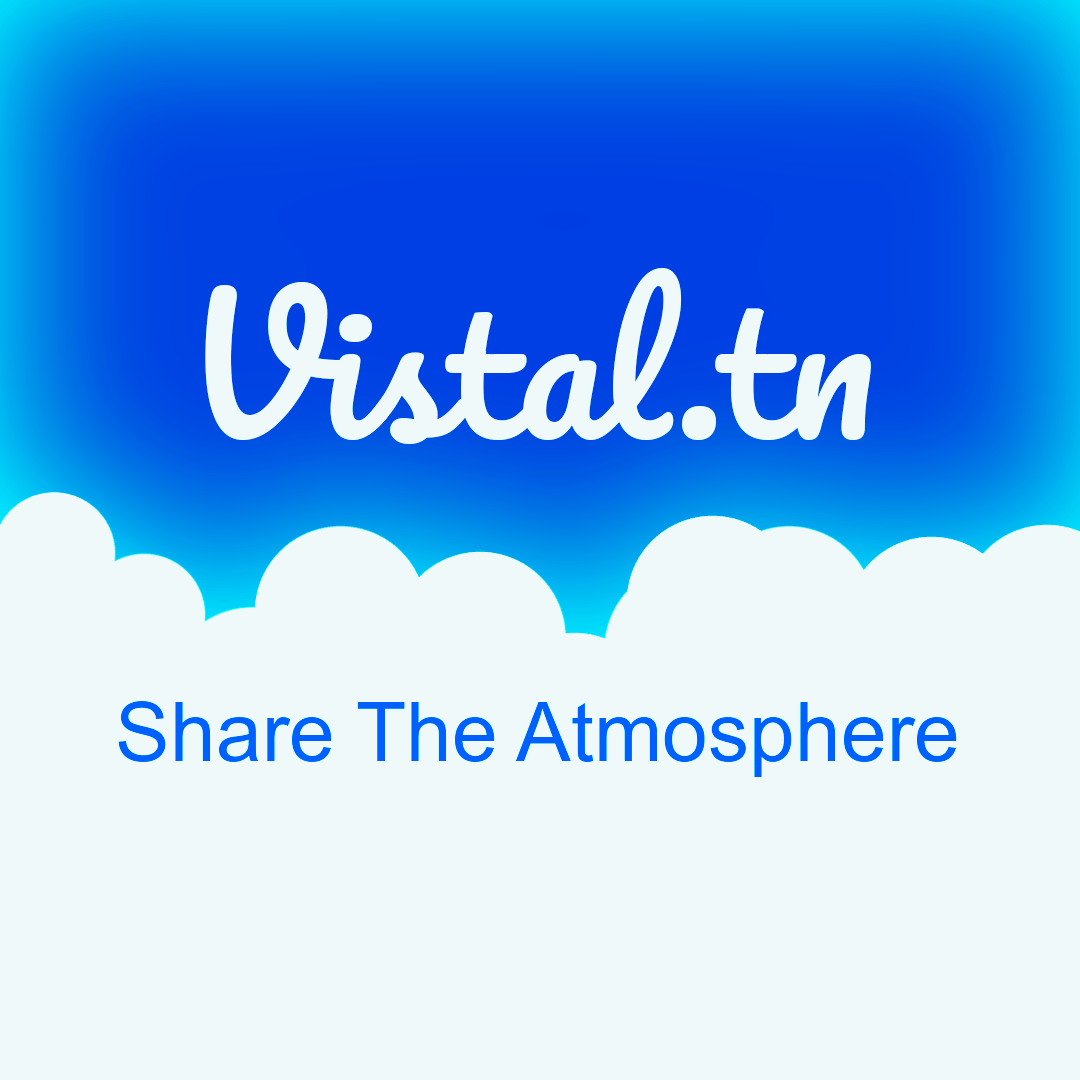 Vistal media 1