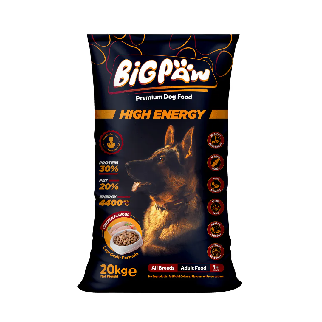 Big Paw High Energy gallery image