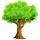 Shodh