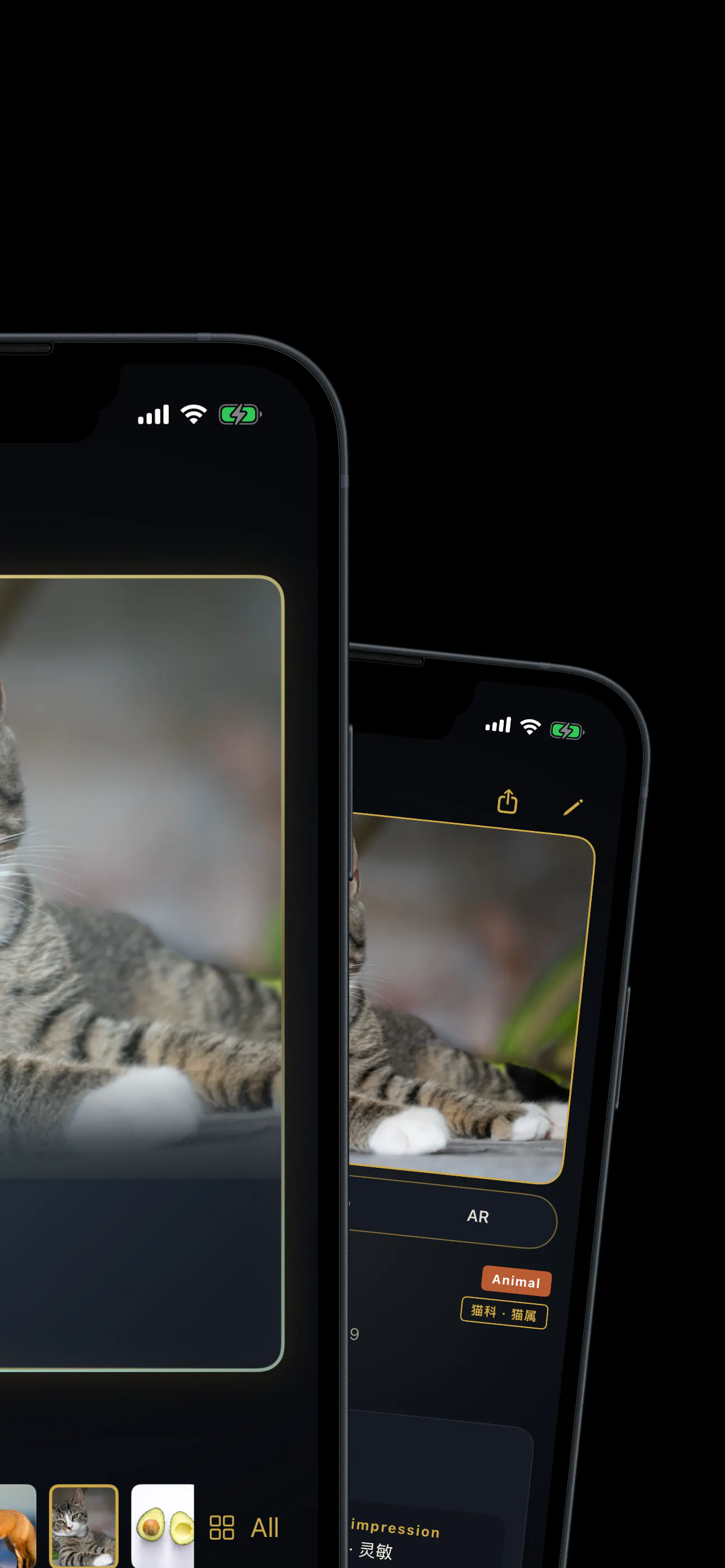 VitaDex gallery image