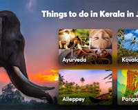 Best Things to do in Kerala in January media 2
