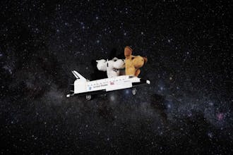 Nootrodog by Birdnip gallery image