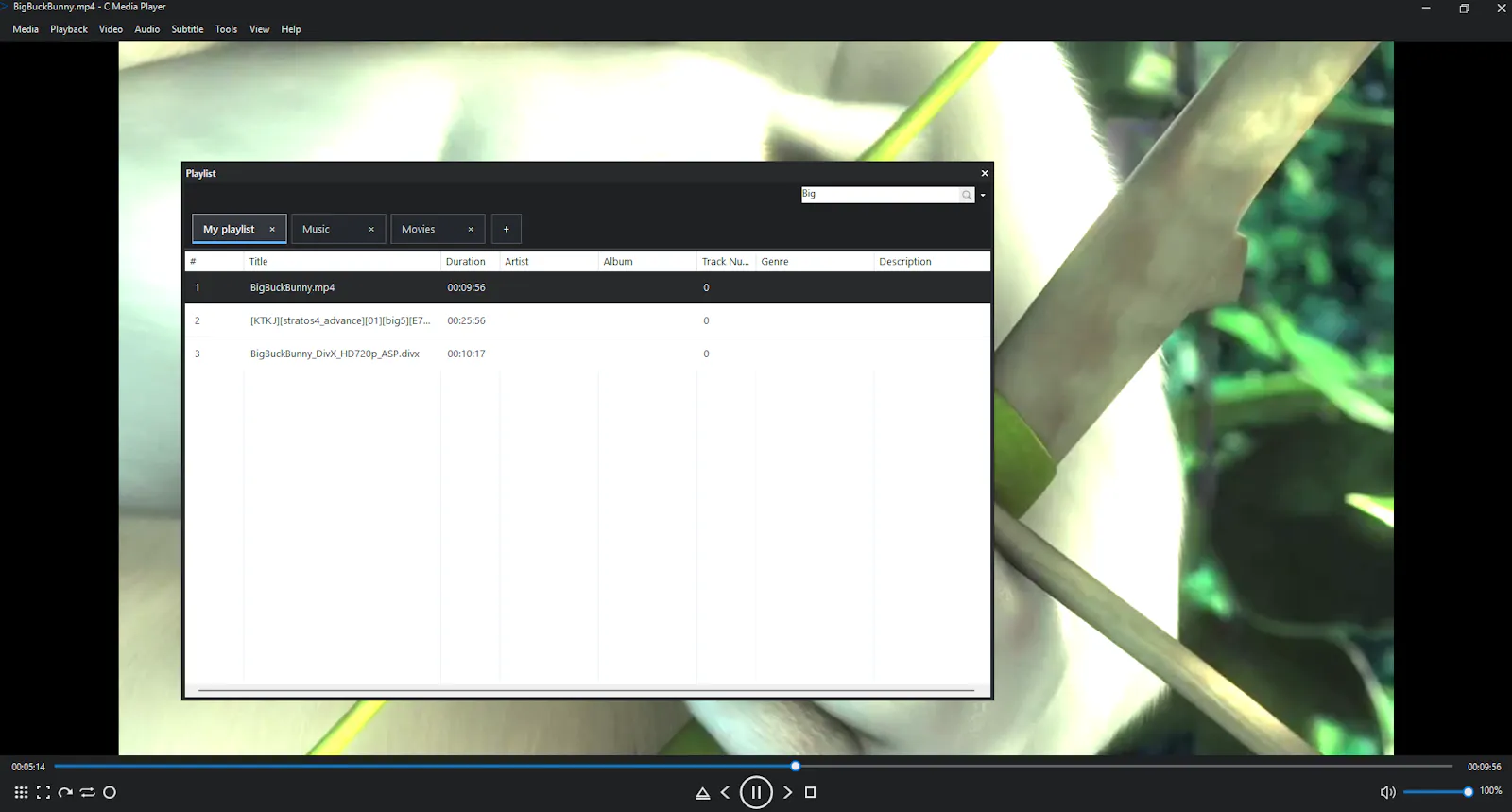 C Media Player screenshot 14