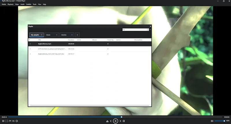 C Media Player screenshot 14
