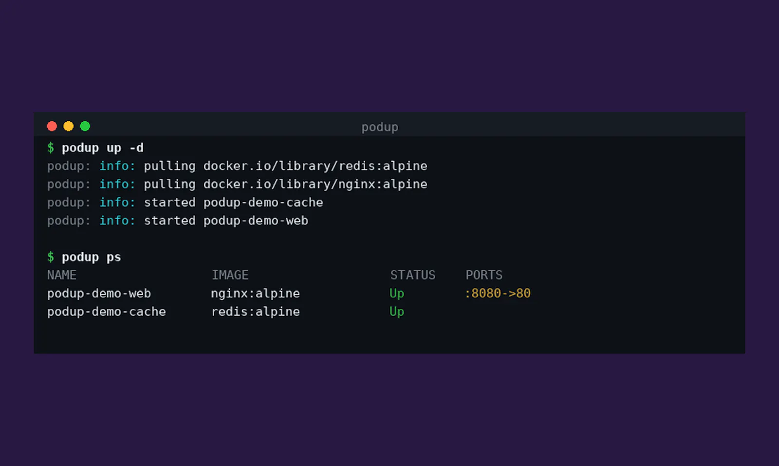podup screenshot 2
