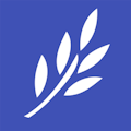 Branch