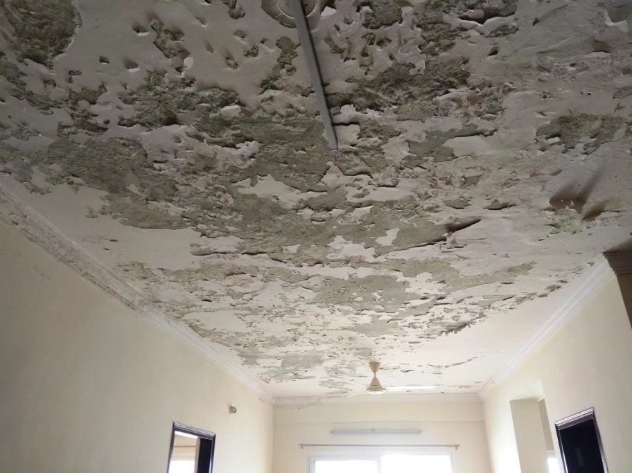 Nemmadi.in gallery image