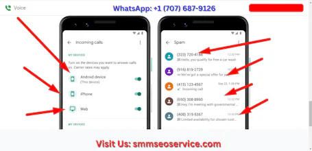 Google Voice Accounts For Sale at Cheap gallery image