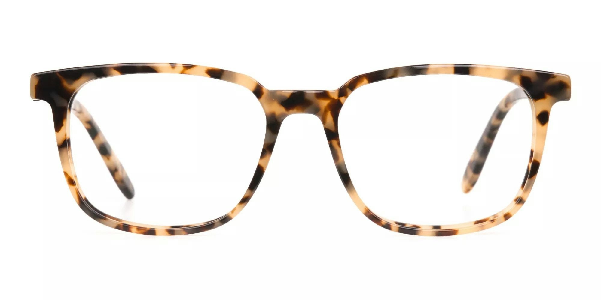 Snazzy Glasses in Cream Tortoise